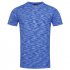 Seamless Raglan T-shirt