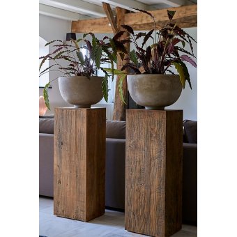 Plantenzuil Barnwood